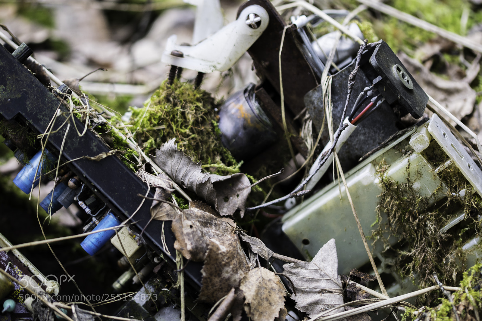 Nikon D5300 sample photo. Abandoned and junk photography