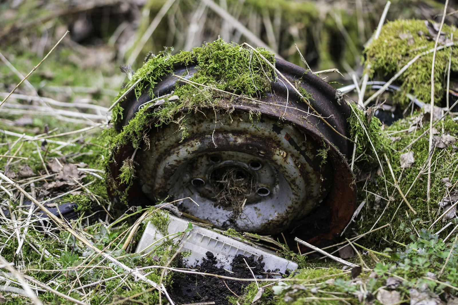 Nikon D5300 sample photo. Abandoned and junk photography