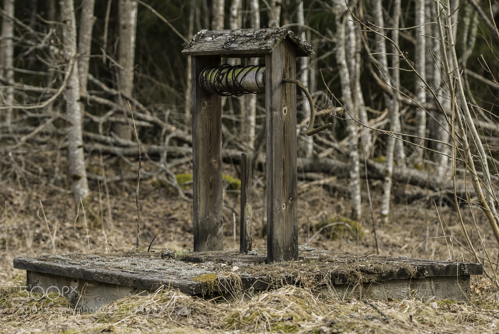 Nikon D5300 sample photo. Abandoned and junk photography