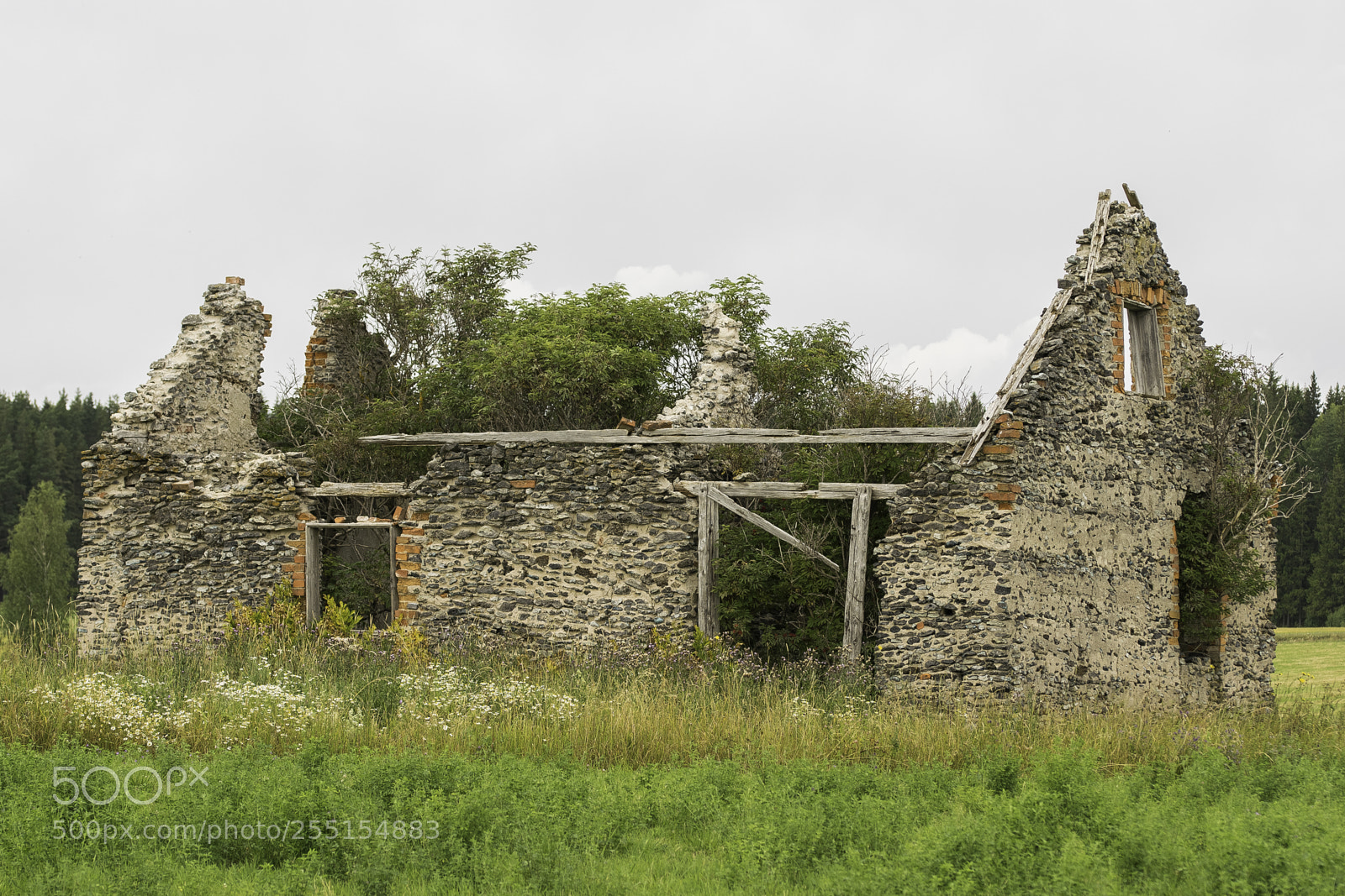 Nikon D5300 sample photo. Abandoned and junk photography