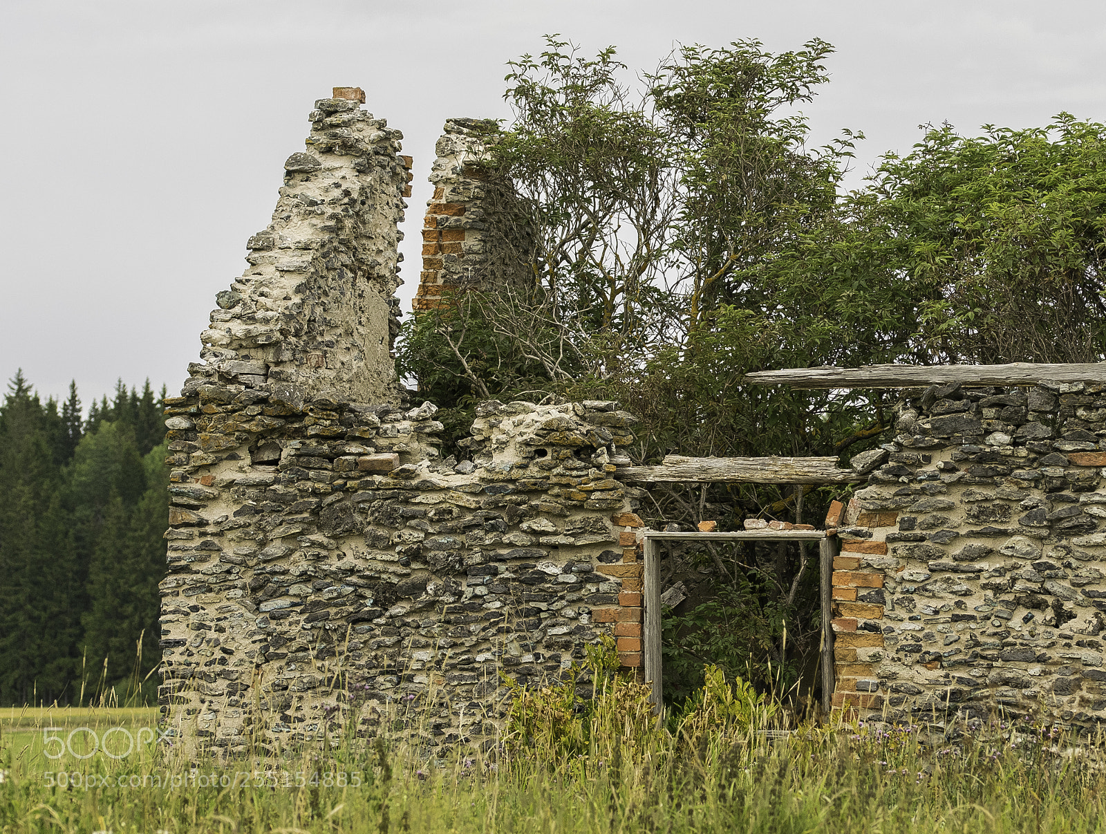 Nikon D5300 sample photo. Abandoned and junk photography