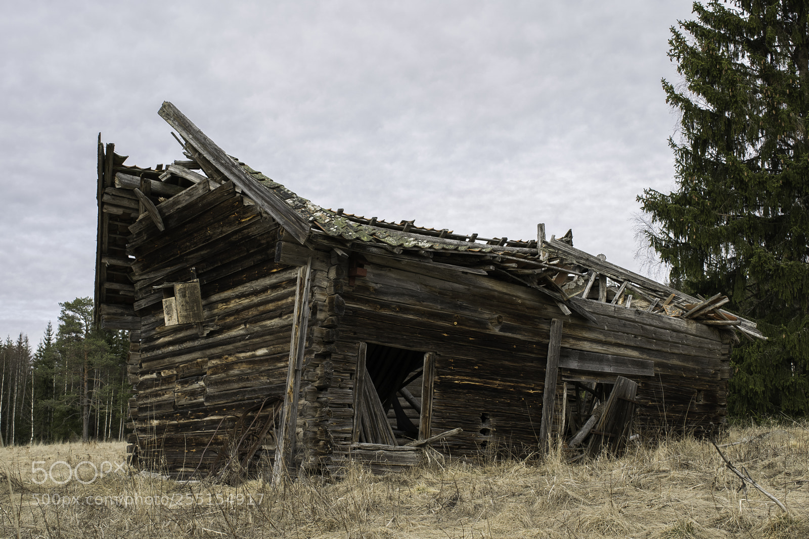 Nikon D5300 sample photo. Abandoned and junk photography