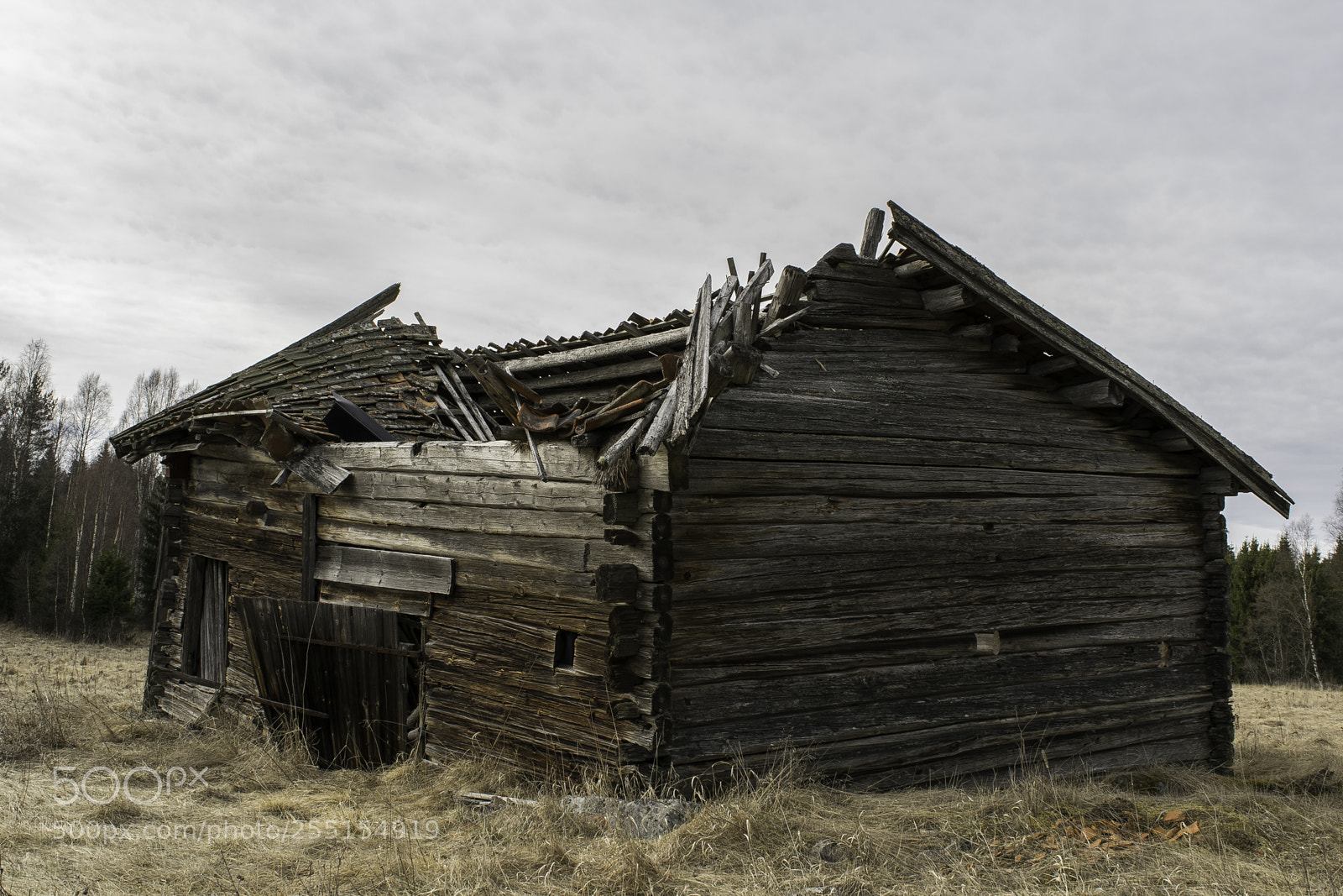 Nikon D5300 sample photo. Abandoned and junk photography