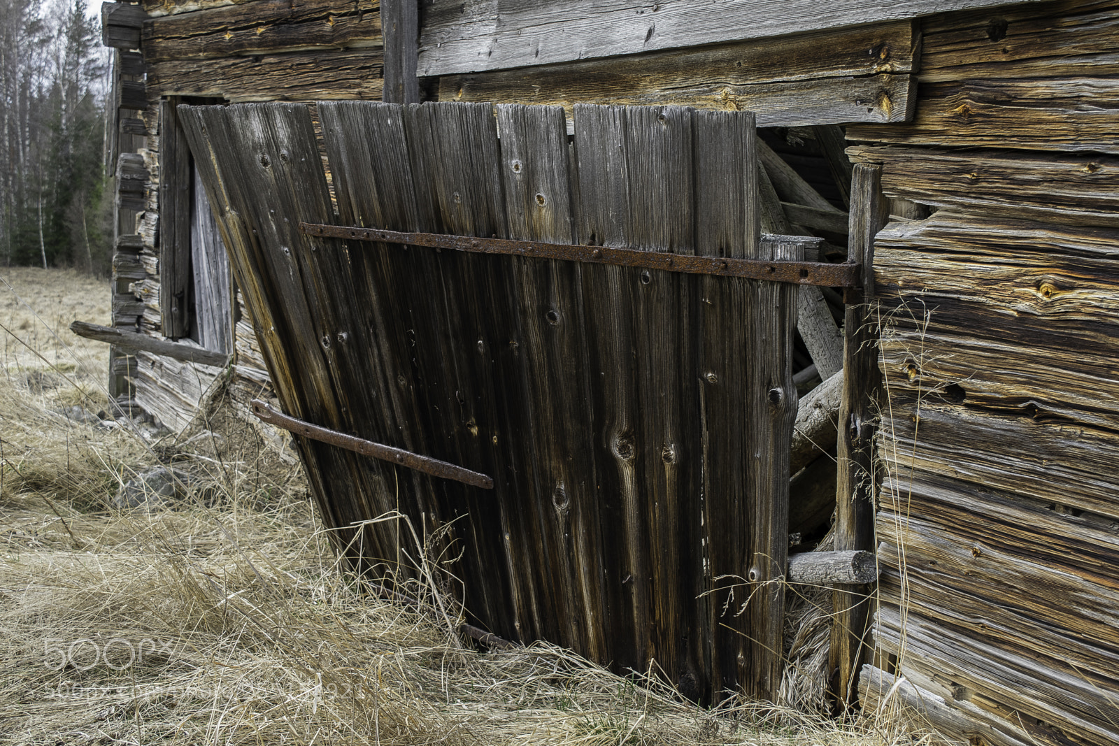 Nikon D5300 sample photo. Abandoned and junk photography