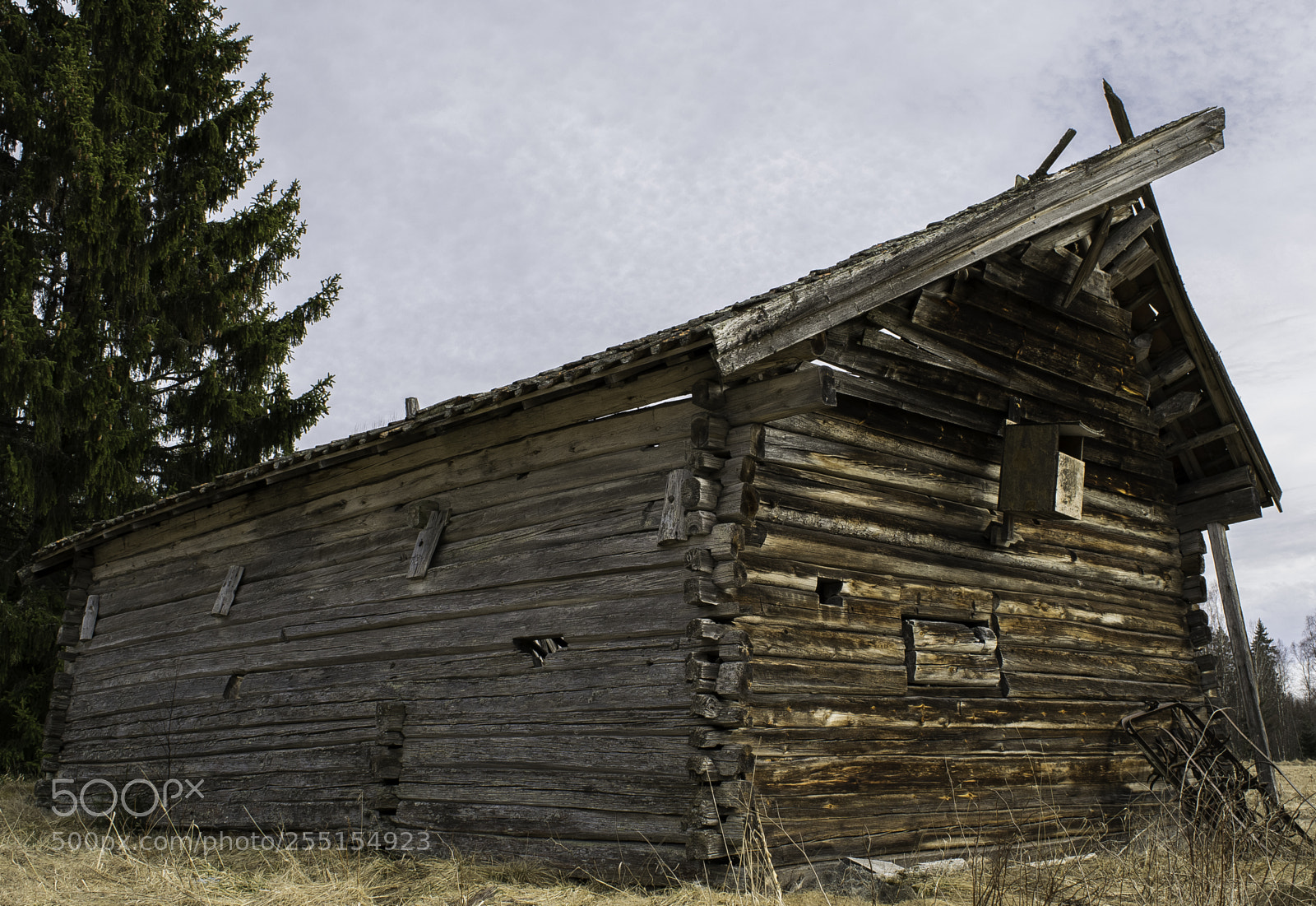 Nikon D5300 sample photo. Abandoned and junk photography