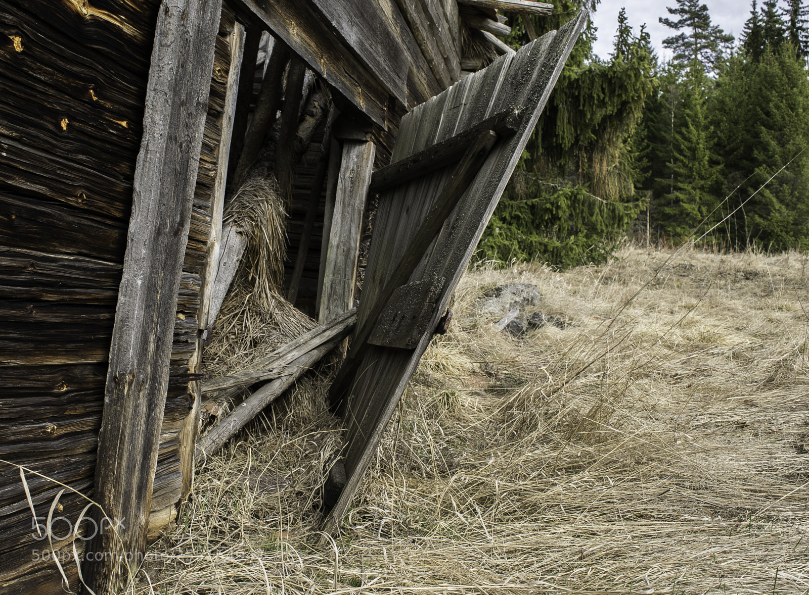 Nikon D5300 sample photo. Abandoned and junk photography