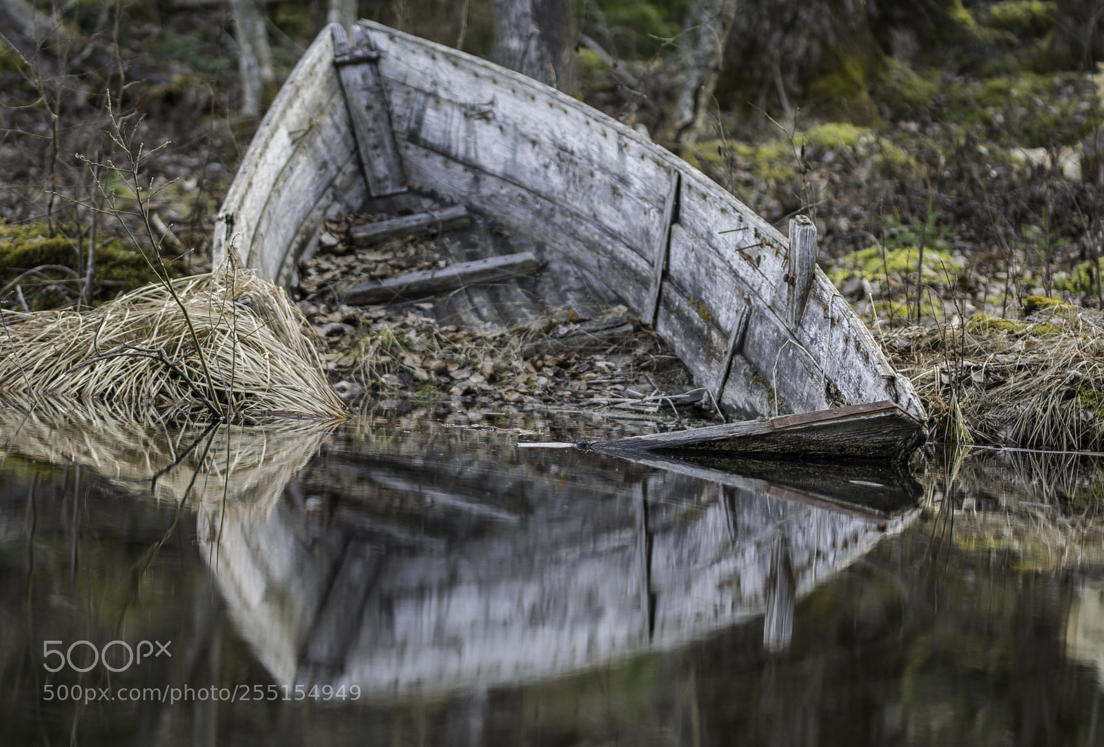 Nikon D5300 sample photo. Abandoned and junk photography