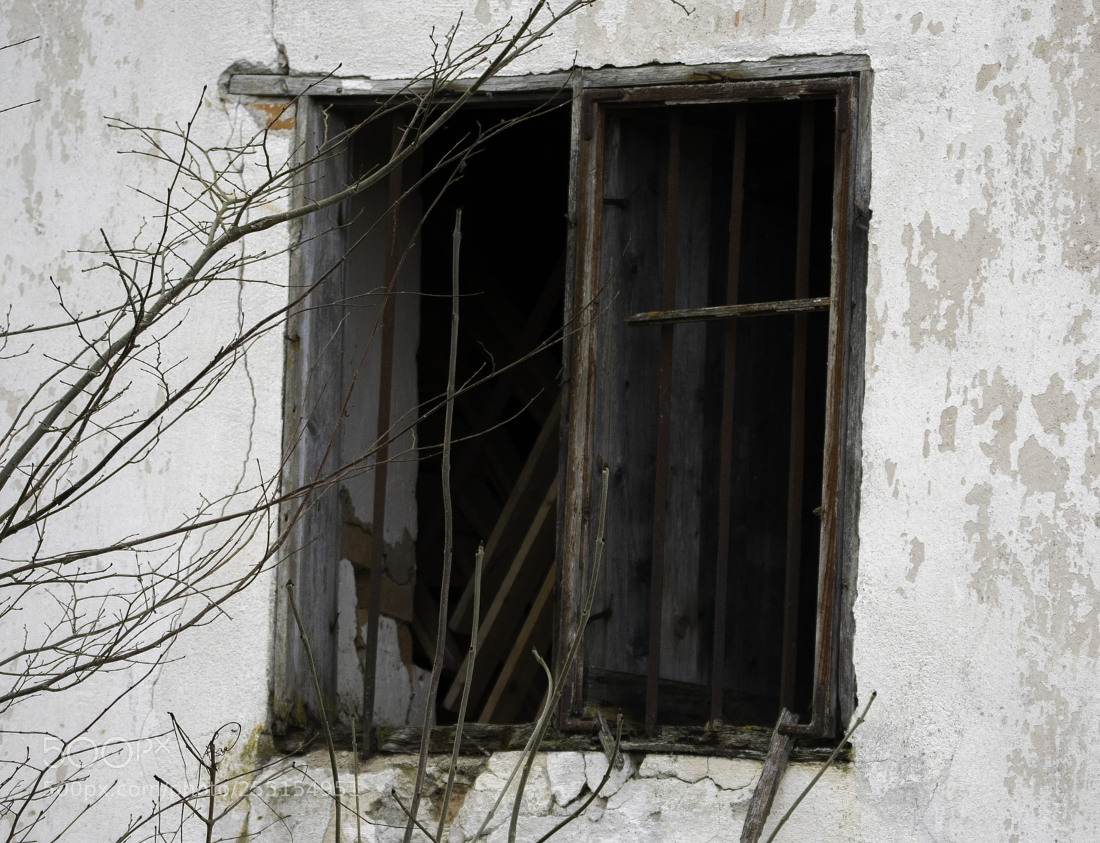 Nikon D5300 sample photo. Abandoned and junk photography