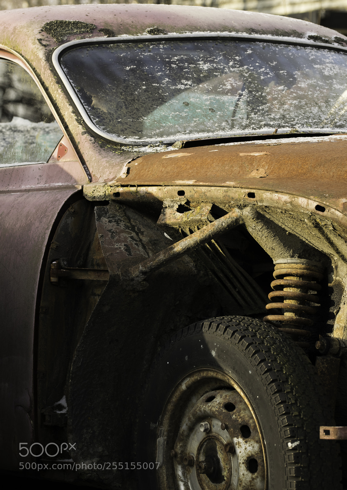 Nikon D5300 sample photo. Abandoned and junk photography