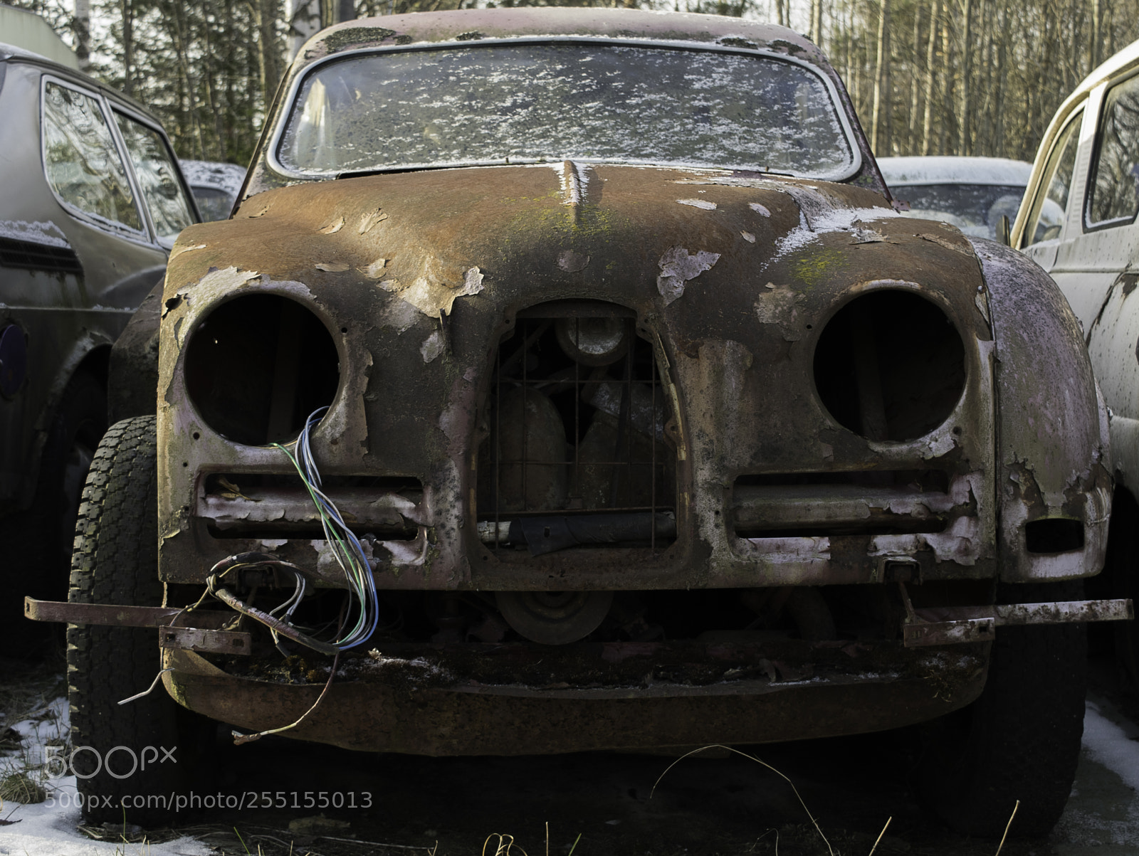 Nikon D5300 sample photo. Abandoned and junk photography