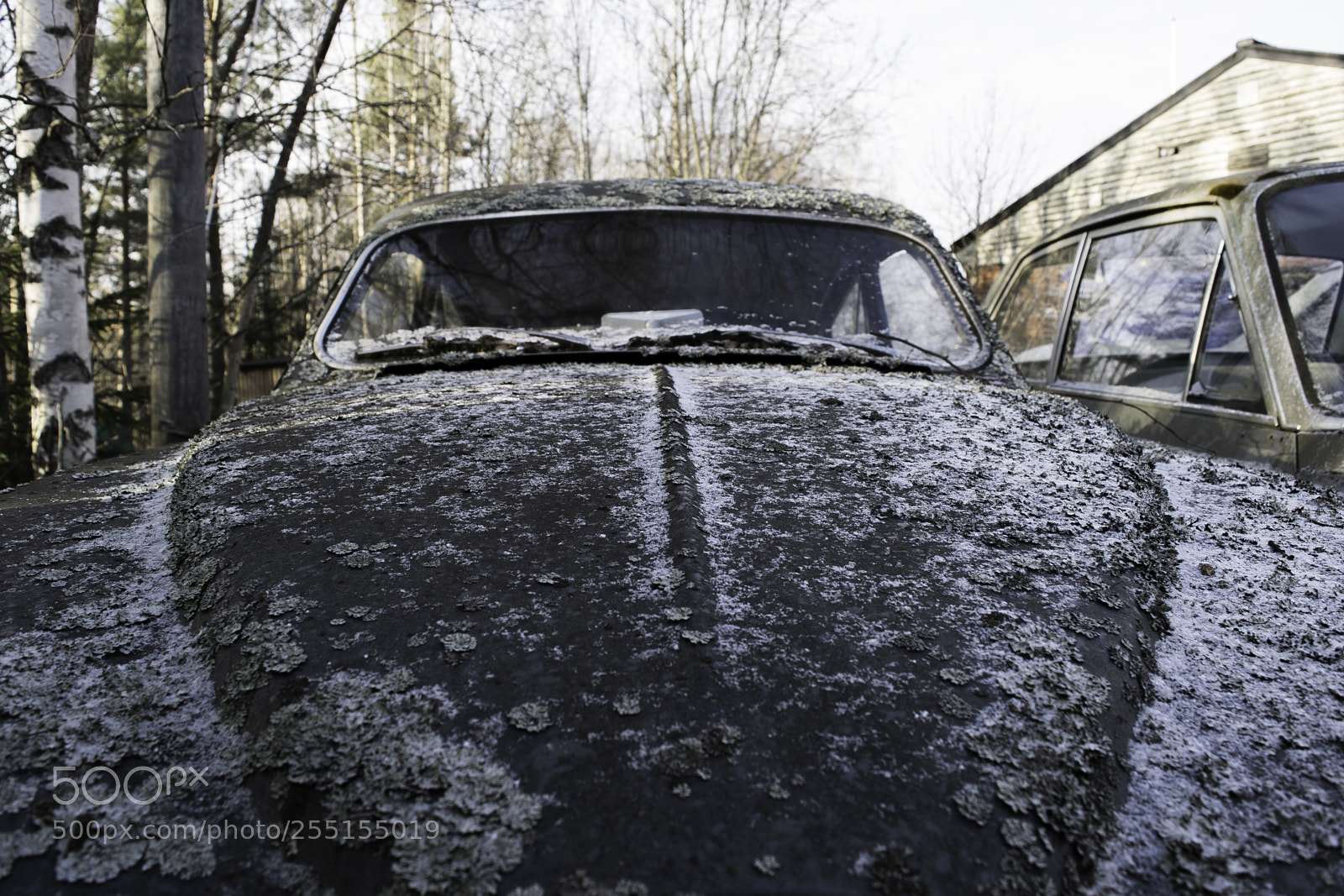 Nikon D5300 sample photo. Abandoned and junk photography