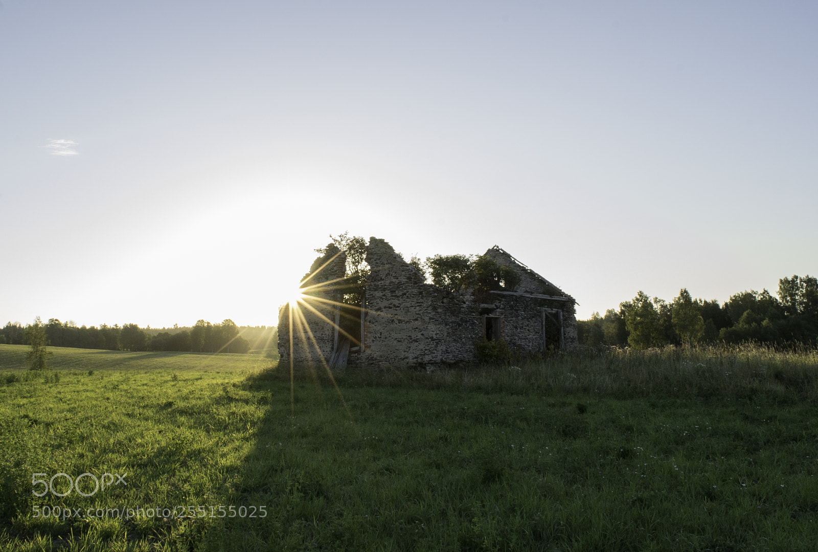 Nikon D5300 sample photo. Abandoned and junk photography