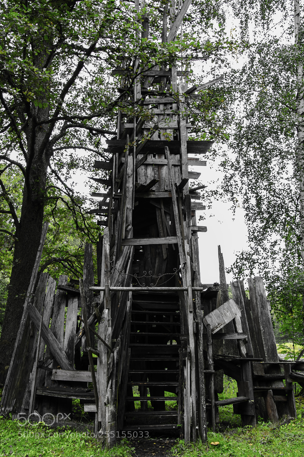 Nikon D5300 sample photo. Abandoned and junk photography
