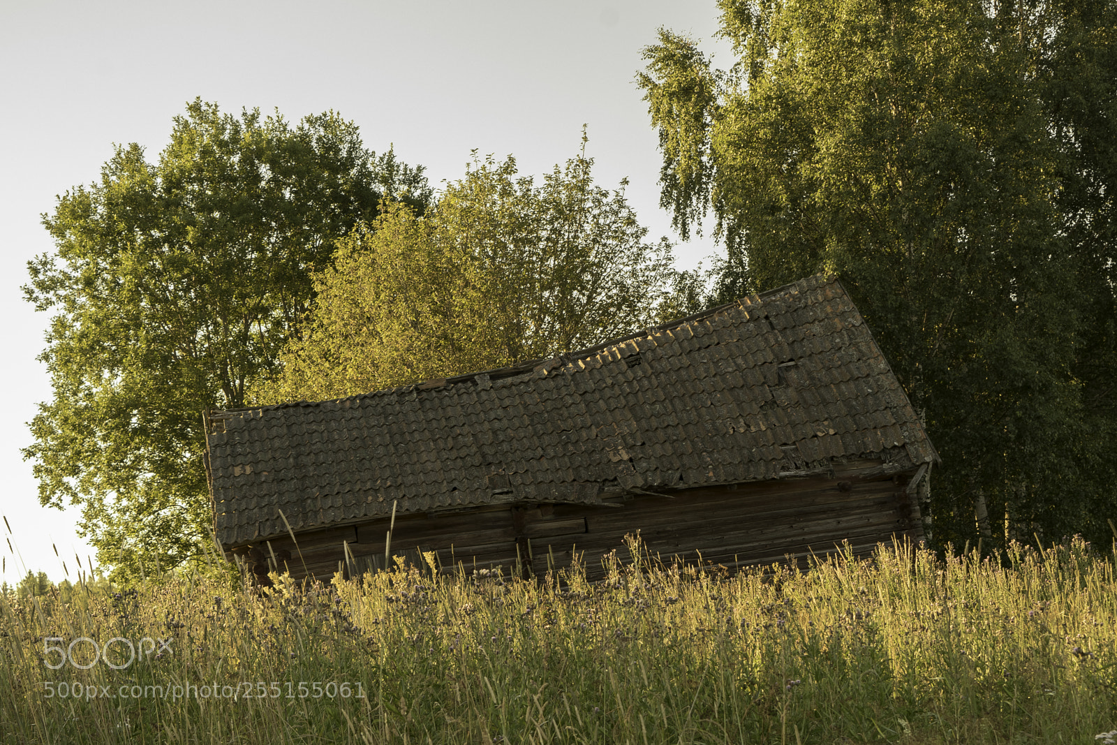 Nikon D5300 sample photo. Abandoned and junk photography