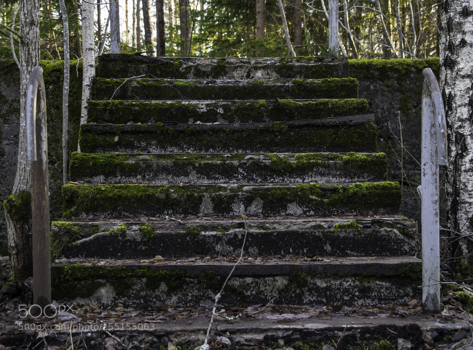 Nikon D5300 sample photo. Abandoned and junk photography