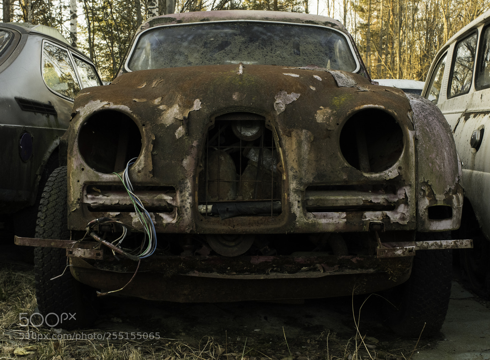 Nikon D5300 sample photo. Abandoned and junk photography