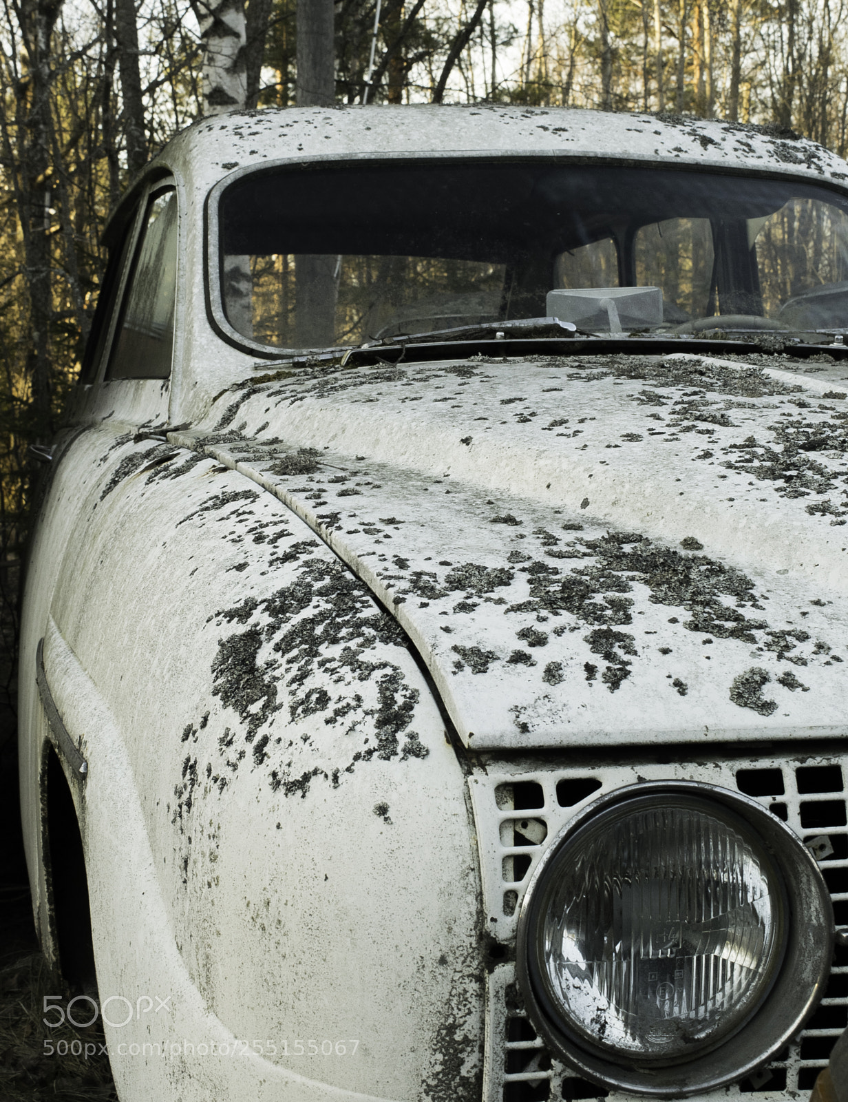 Nikon D5300 sample photo. Abandoned and junk photography