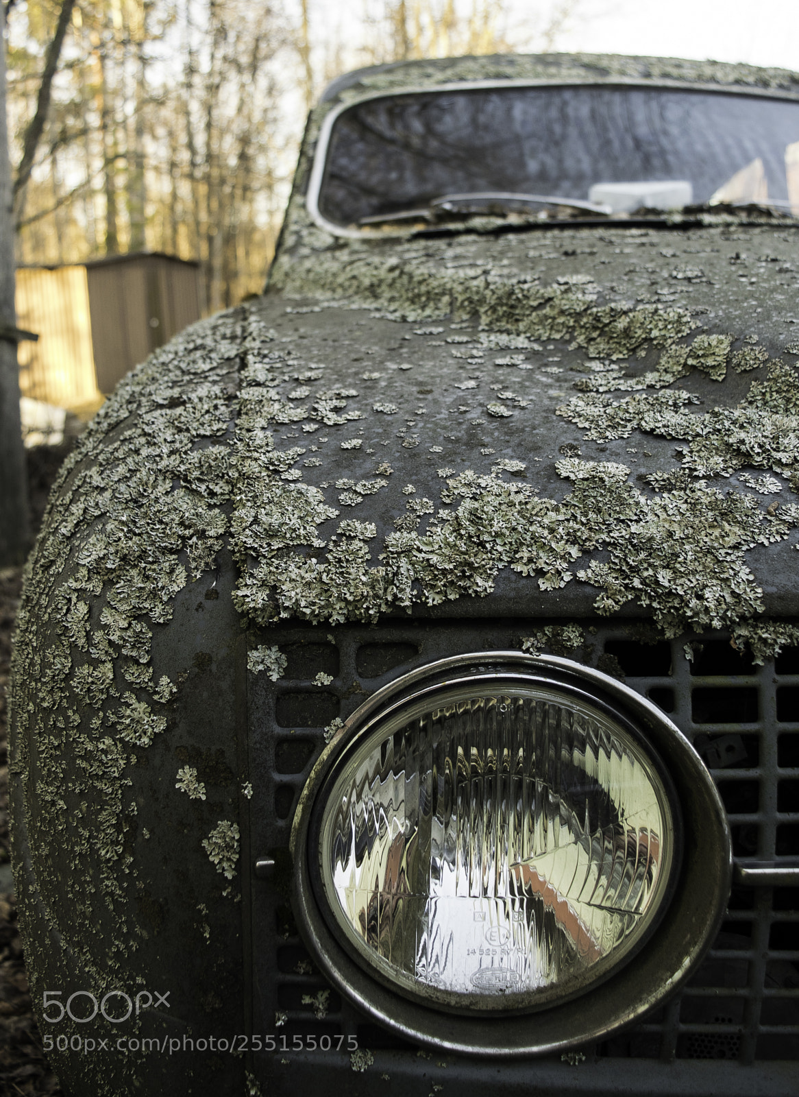 Nikon D5300 sample photo. Abandoned and junk photography