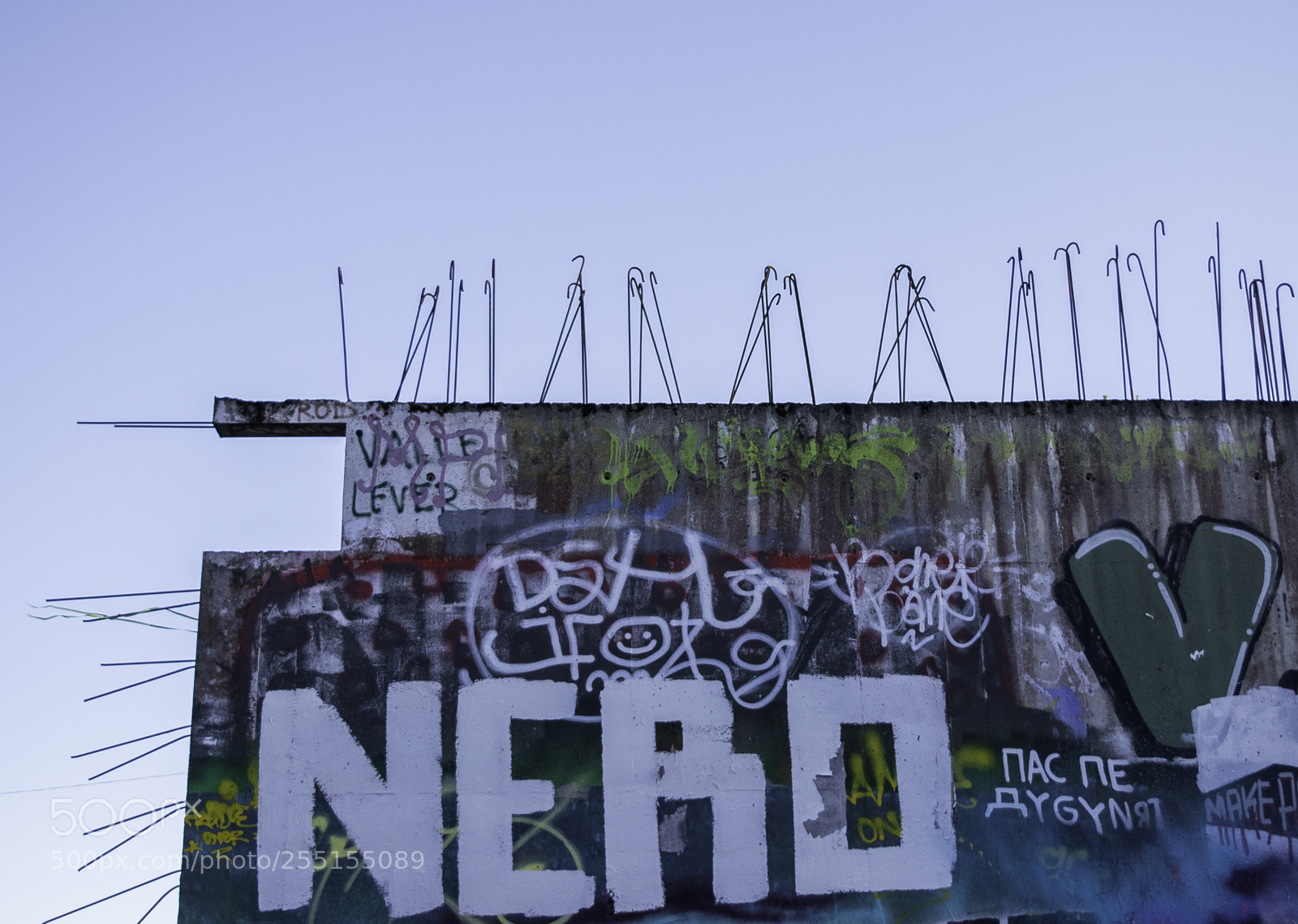Nikon D5300 sample photo. Abandoned and junk photography
