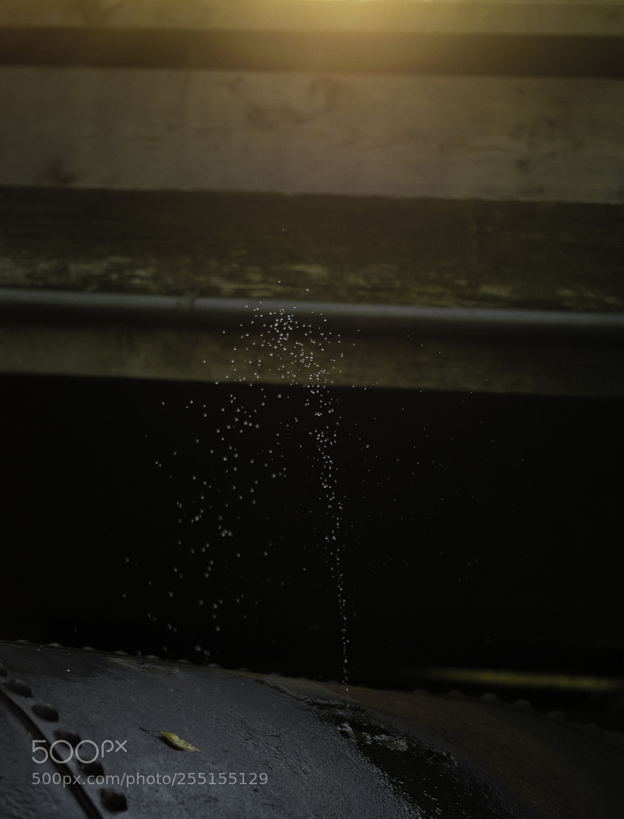 Nikon D5300 sample photo. Abandoned and junk photography