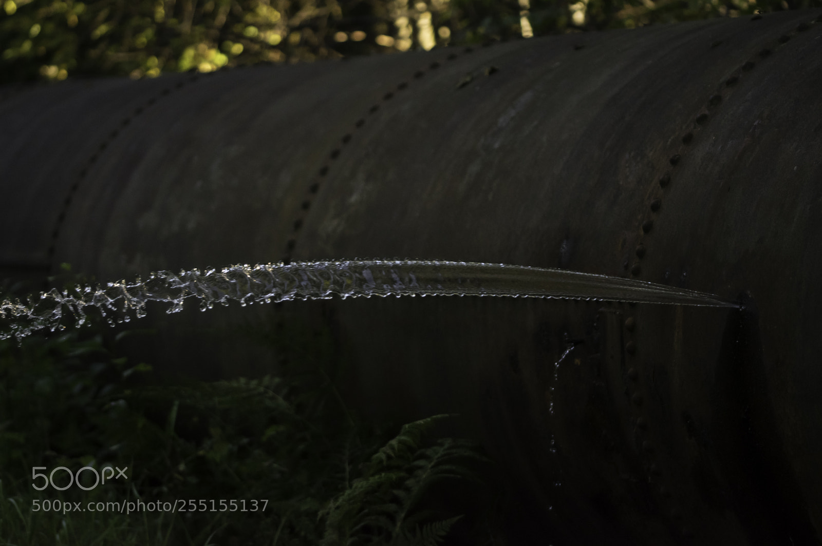 Nikon D5300 sample photo. Abandoned and junk photography