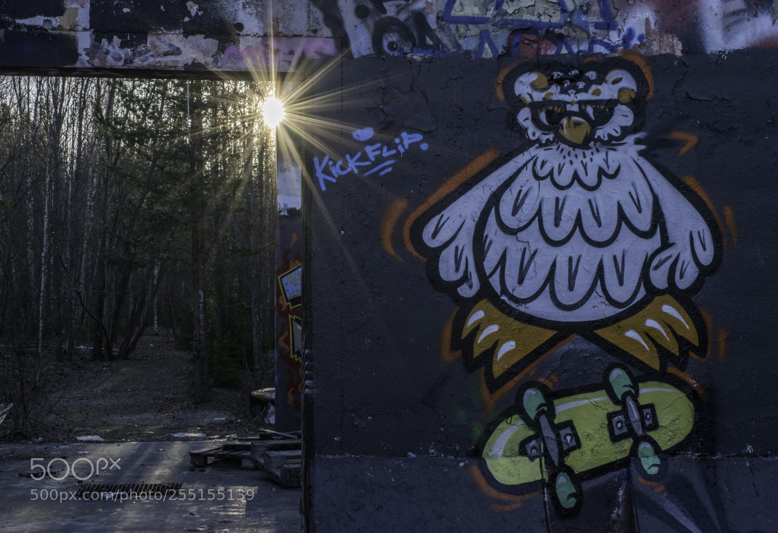 Nikon D5300 sample photo. Abandoned and junk photography