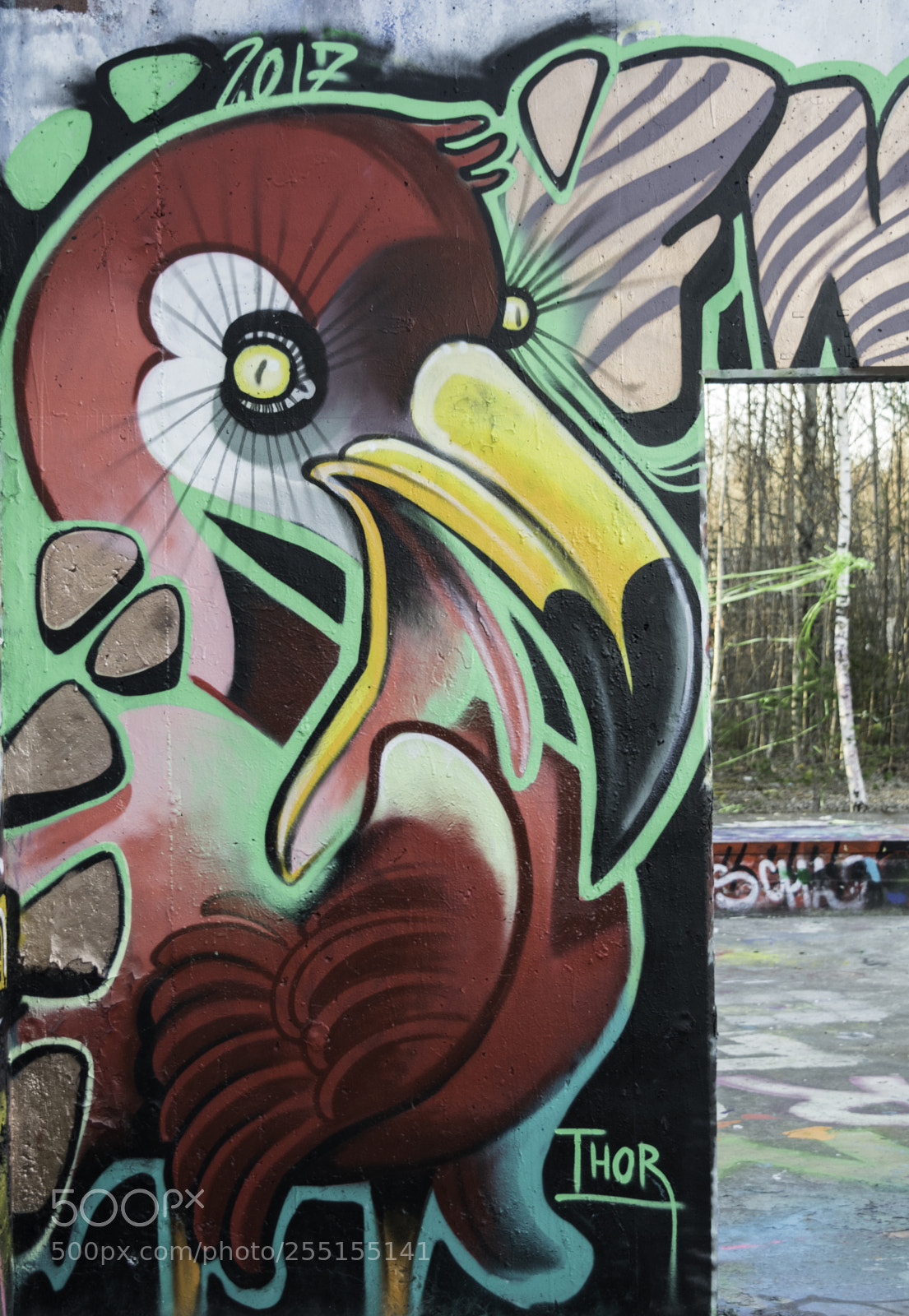 Nikon D5300 sample photo. Abandoned and junk photography