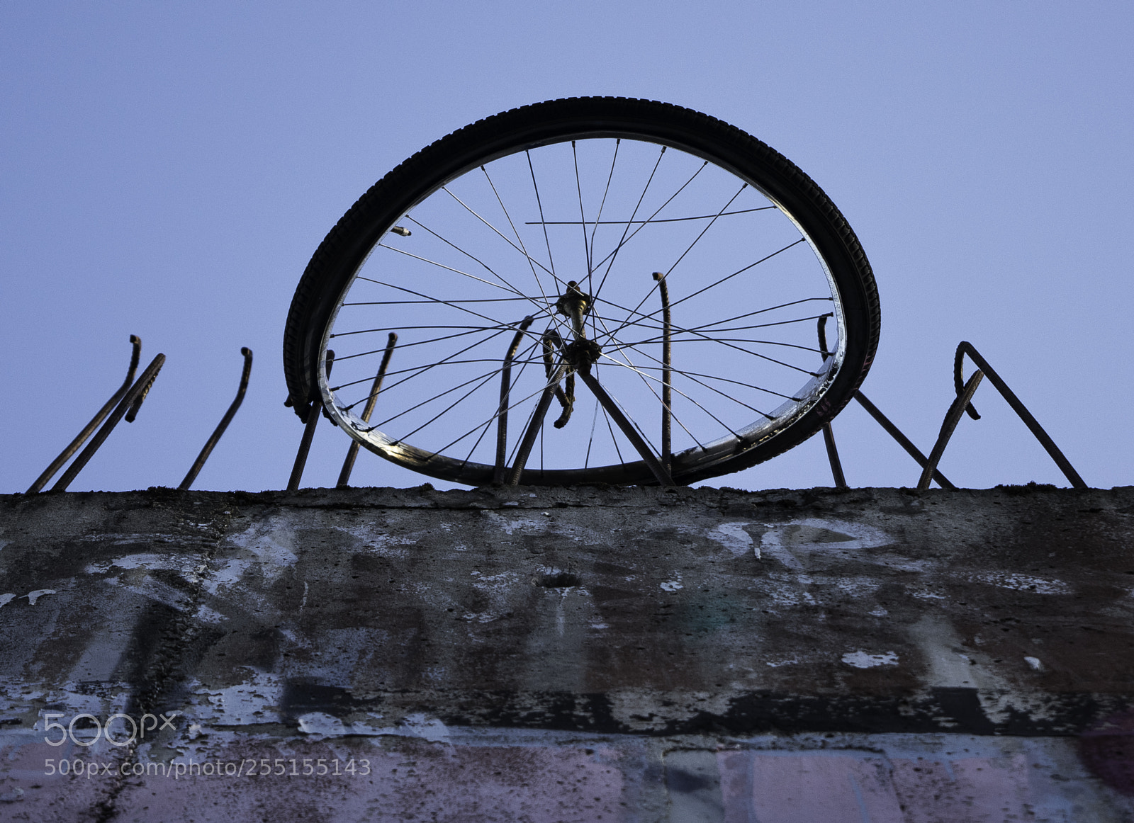 Nikon D5300 sample photo. Abandoned and junk photography