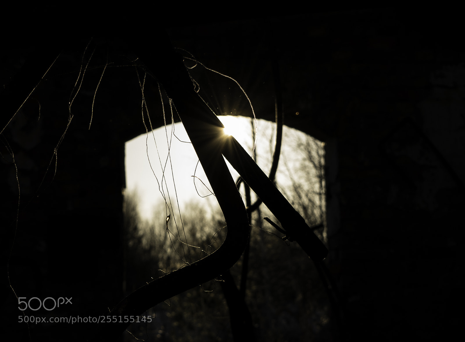 Nikon D5300 sample photo. Abandoned and junk photography