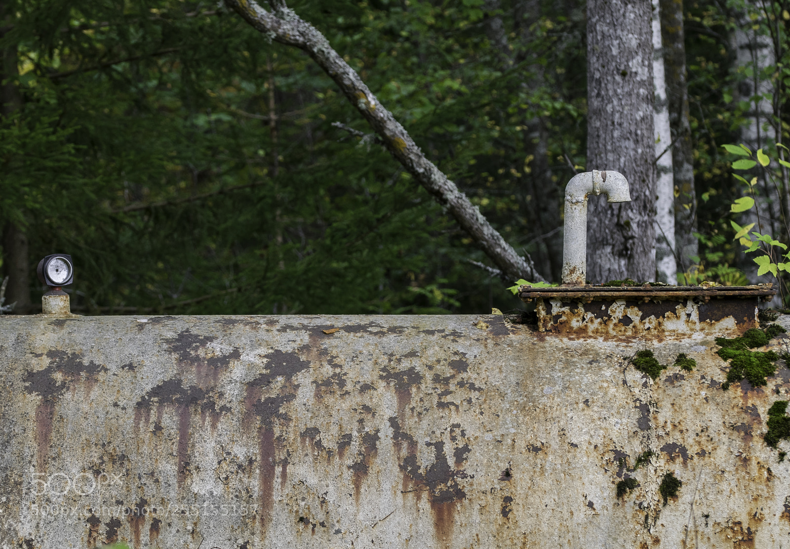 Nikon D5300 sample photo. Abandoned and junk photography