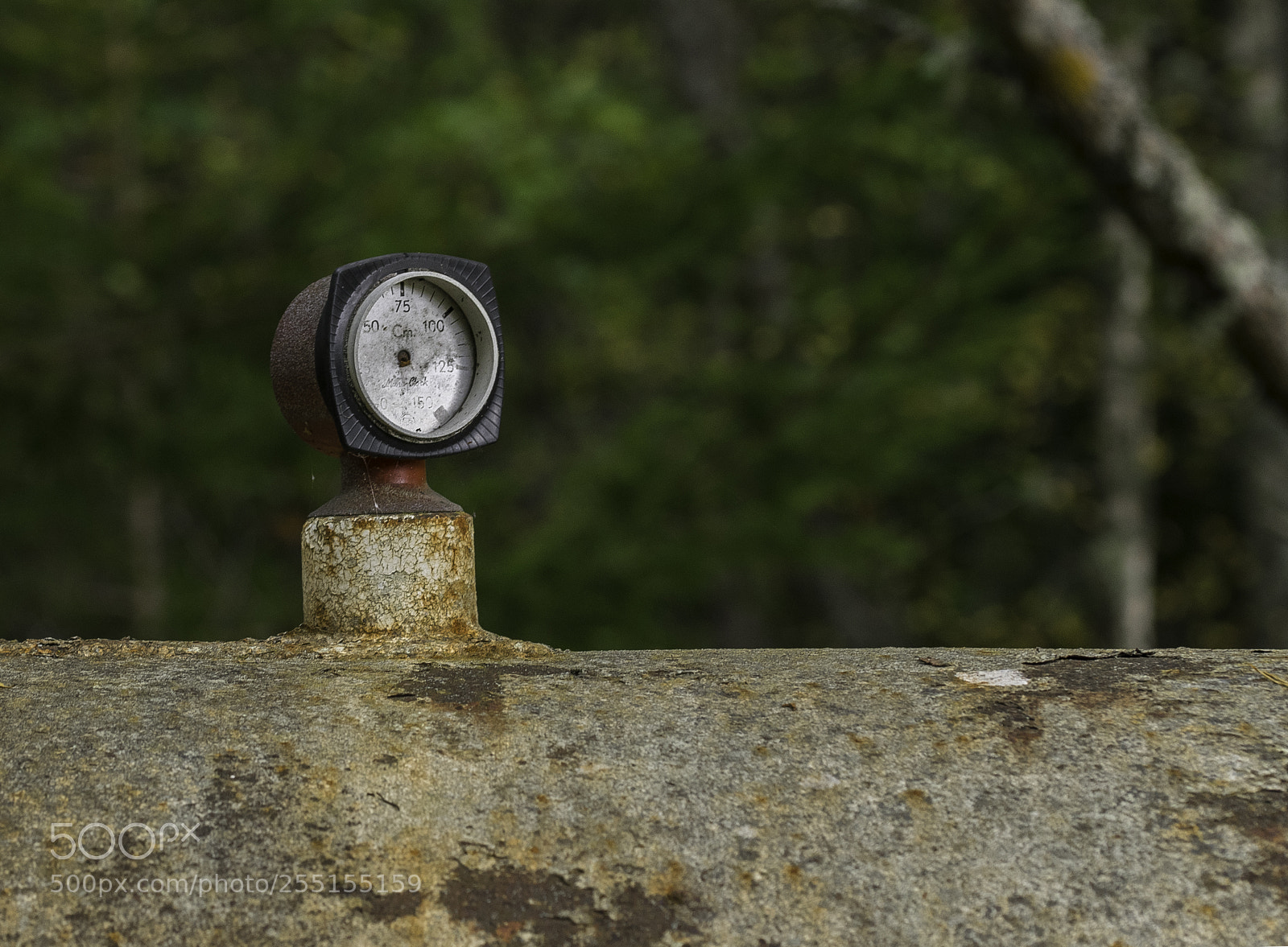 Nikon D5300 sample photo. Abandoned and junk photography