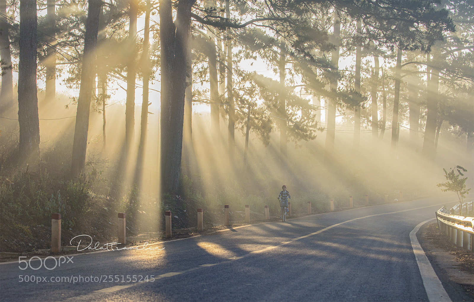 Canon EOS 5DS R sample photo. Way to home photography