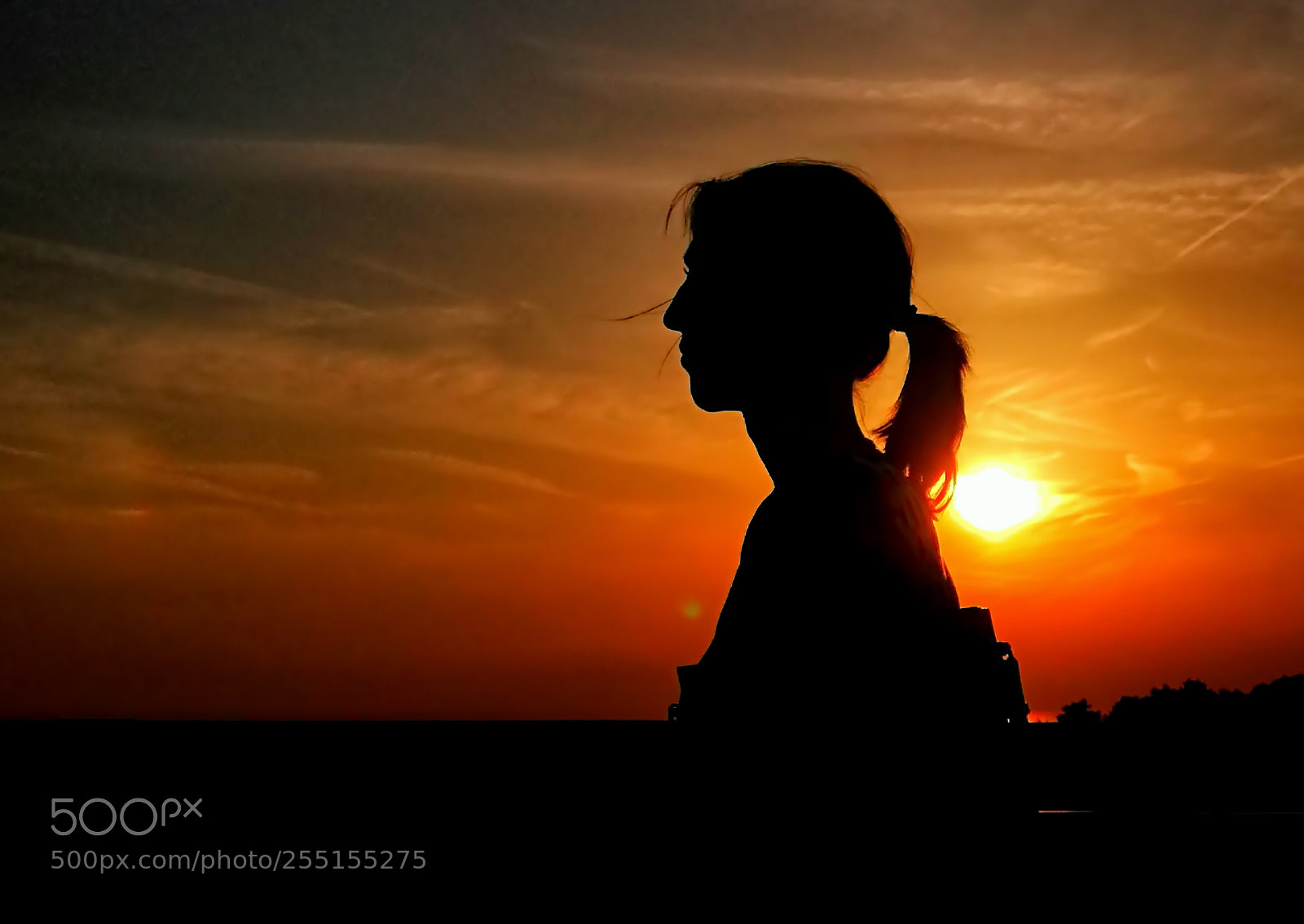 HUAWEI P10 Plus sample photo. Silhouette of my love photography