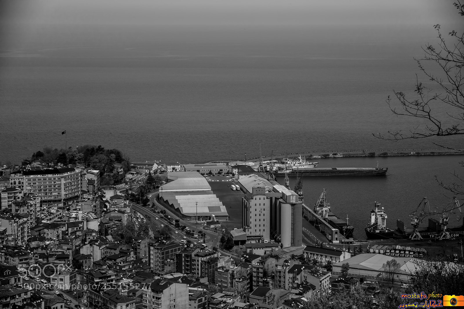 Canon EOS 5DS R sample photo. Copy photography