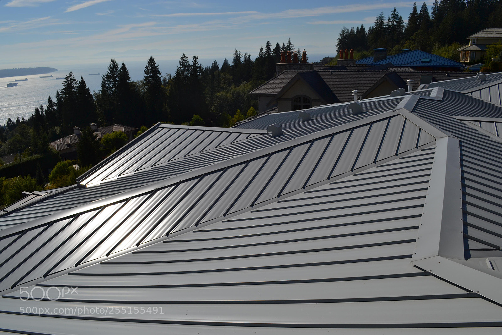 Nikon D3100 sample photo. Roof repair costs at photography