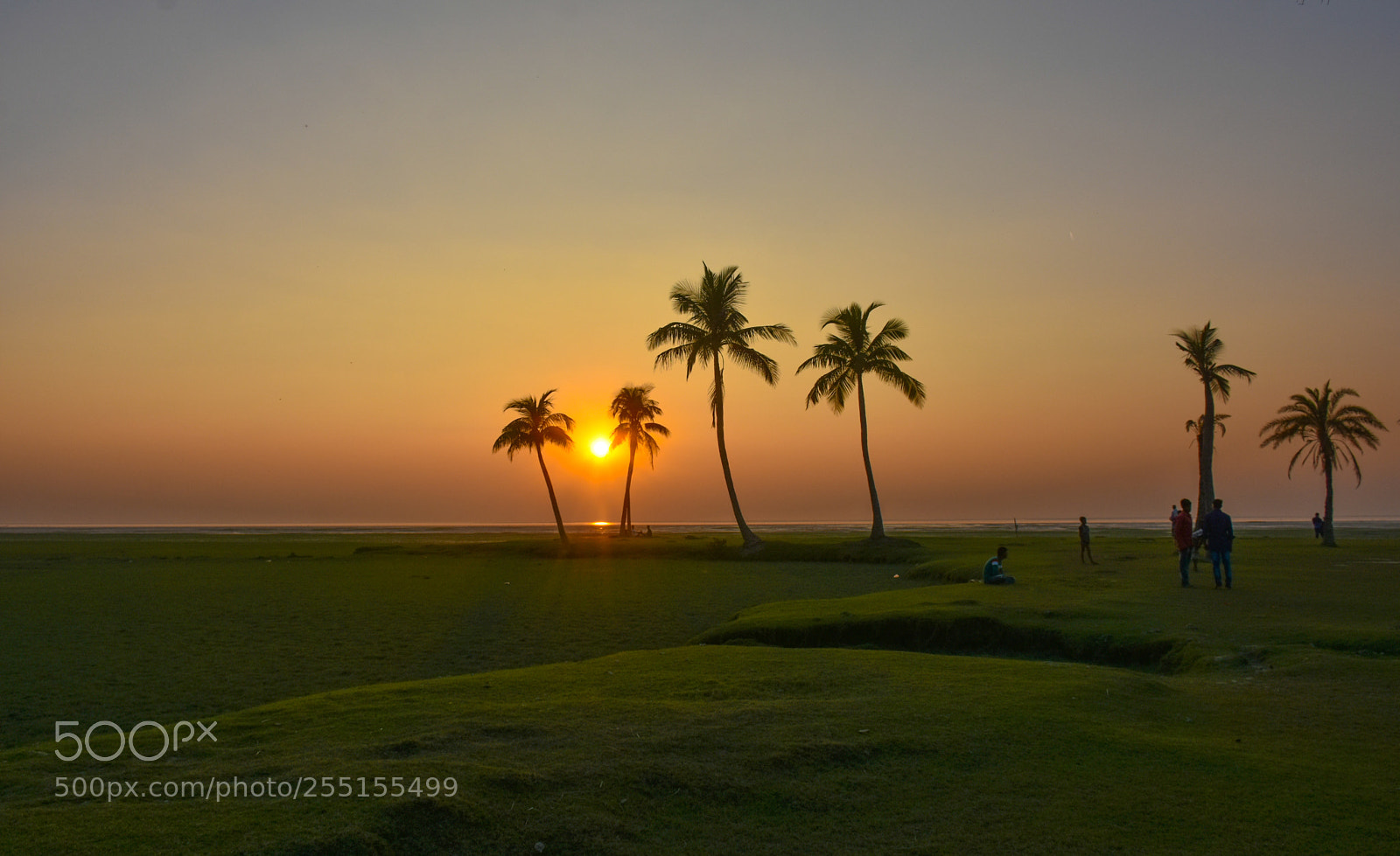 Nikon D7200 sample photo. Tale of twilight photography