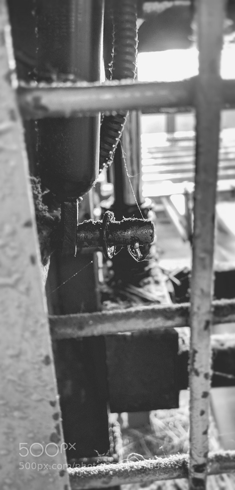 LG G6 sample photo. Shape of dust photography
