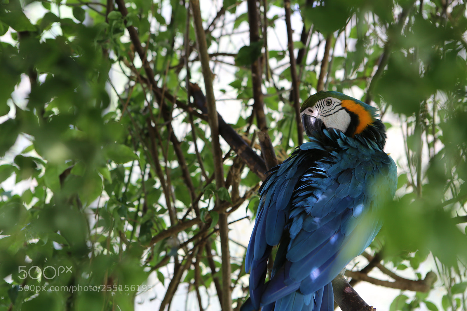 Canon EOS 6D + Canon EF 24-70mm F2.8L USM sample photo. Img photography