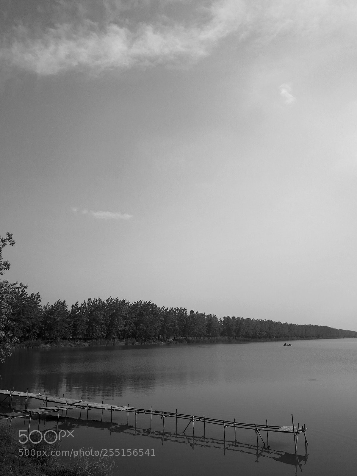 HUAWEI Mate 9 sample photo. Untitled photography