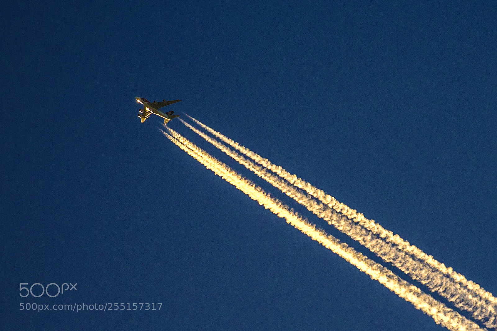 Canon EOS-1D X sample photo. Flight photography