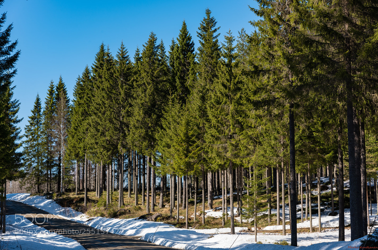 Nikon D810 sample photo. Low cuts photography