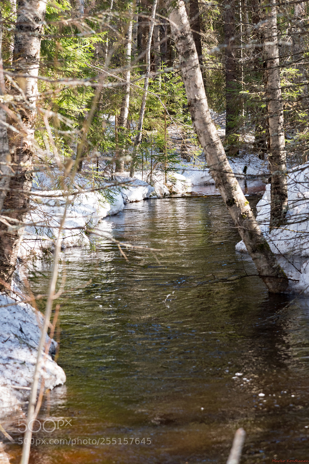 Nikon D810 sample photo. Spring river photography