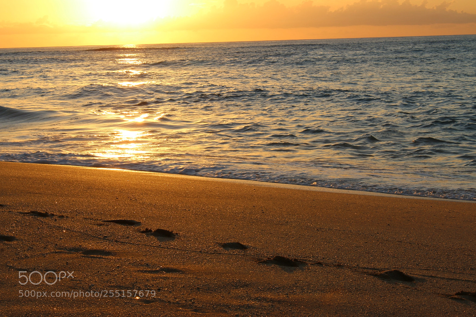 Canon EOS 70D sample photo. Pistis 2 photography