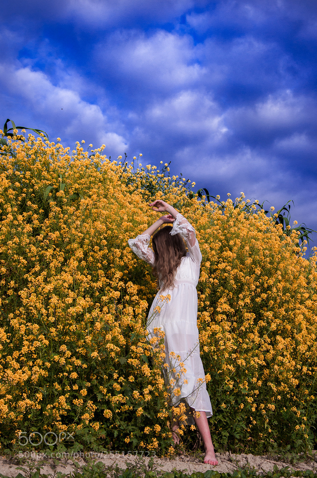 Nikon D90 sample photo. Blue and yellow photography