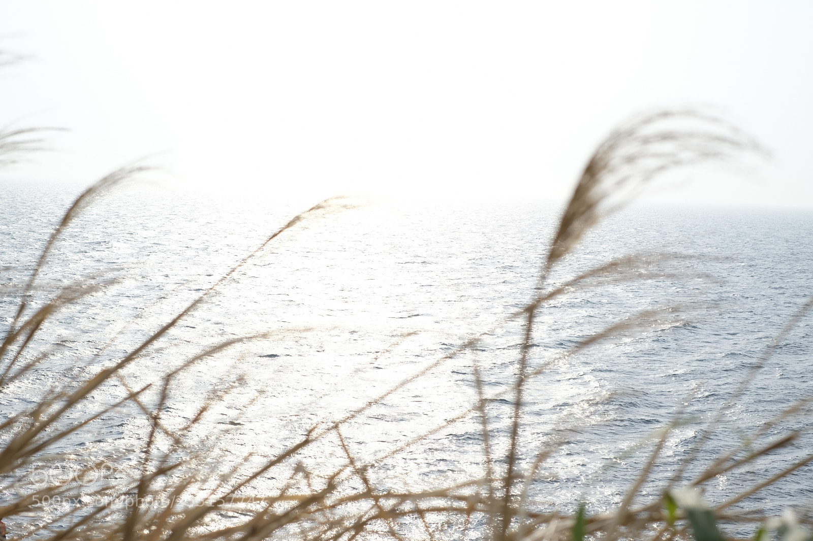 Fujifilm X-Pro2 sample photo. Untitled photography