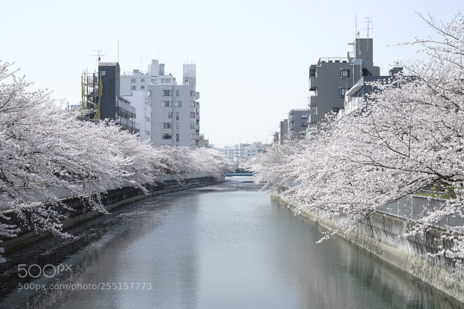 Fujifilm X-Pro2 sample photo. Untitled photography