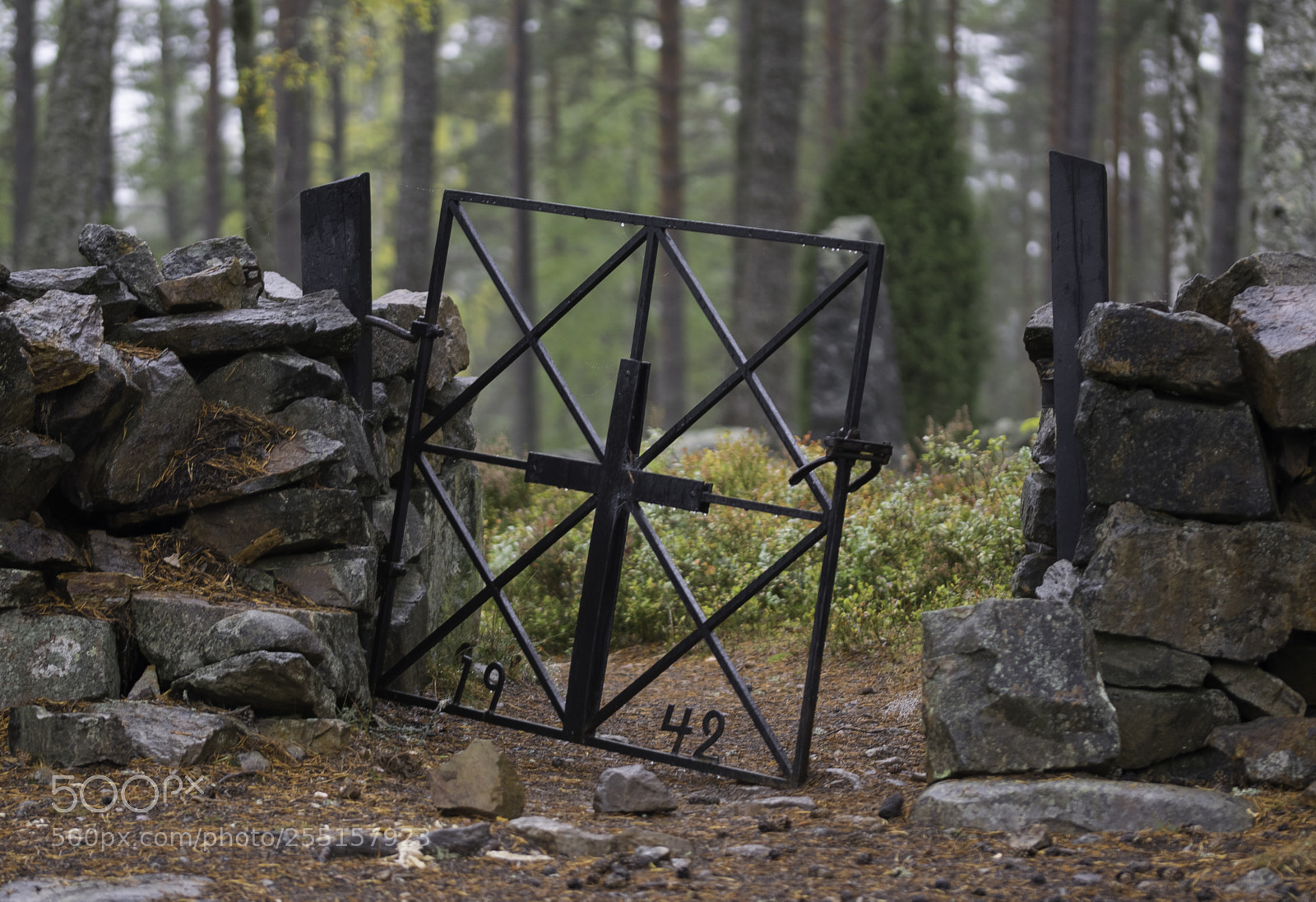 Nikon D5300 sample photo. Abandoned and junk photography