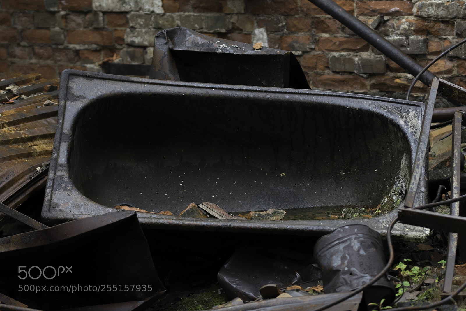 Nikon D5300 sample photo. Abandoned and junk photography