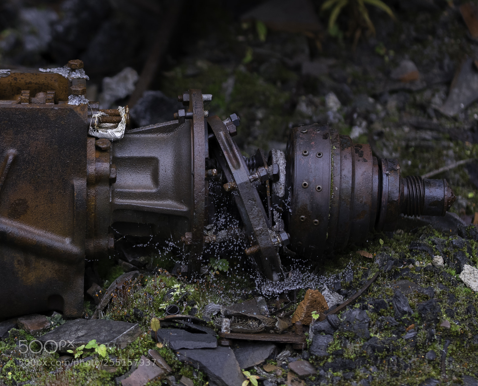 Nikon D5300 sample photo. Abandoned and junk photography