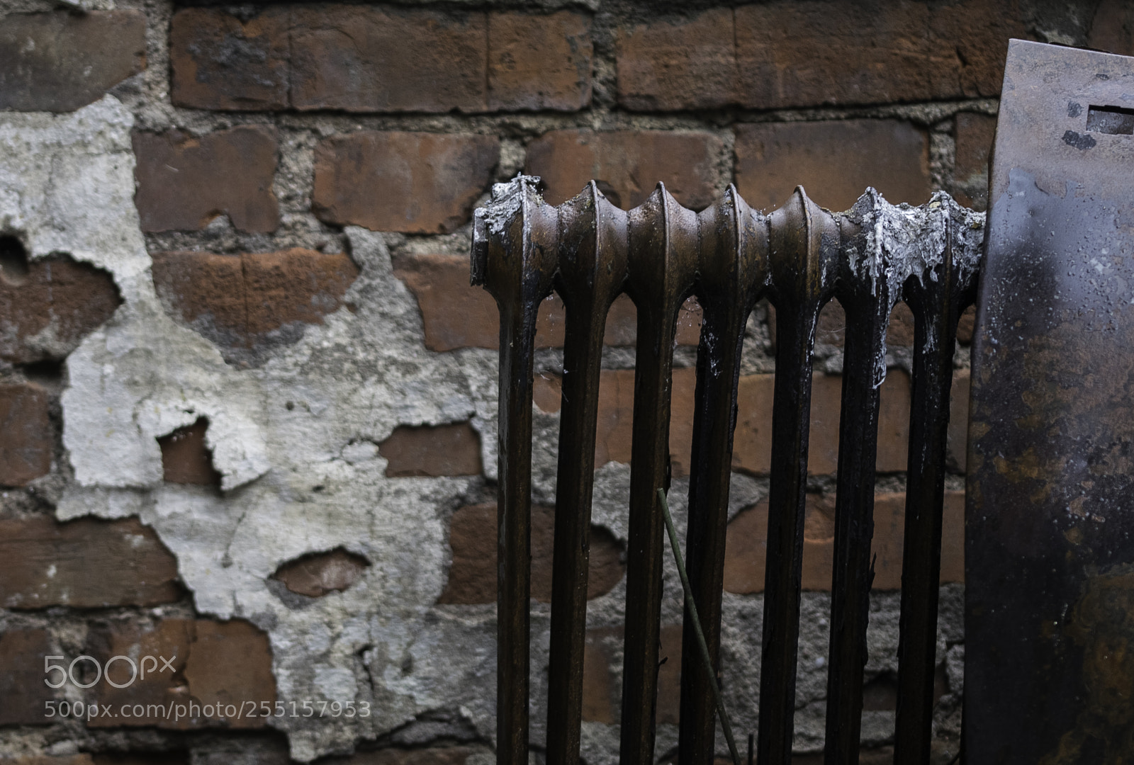 Nikon D5300 sample photo. Abandoned and junk photography